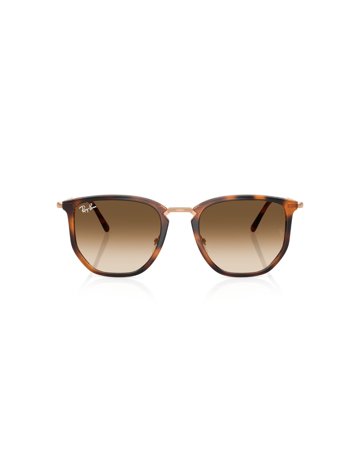 Ray-Ban RB4451 Sonnenbrille schwarz Bild 11