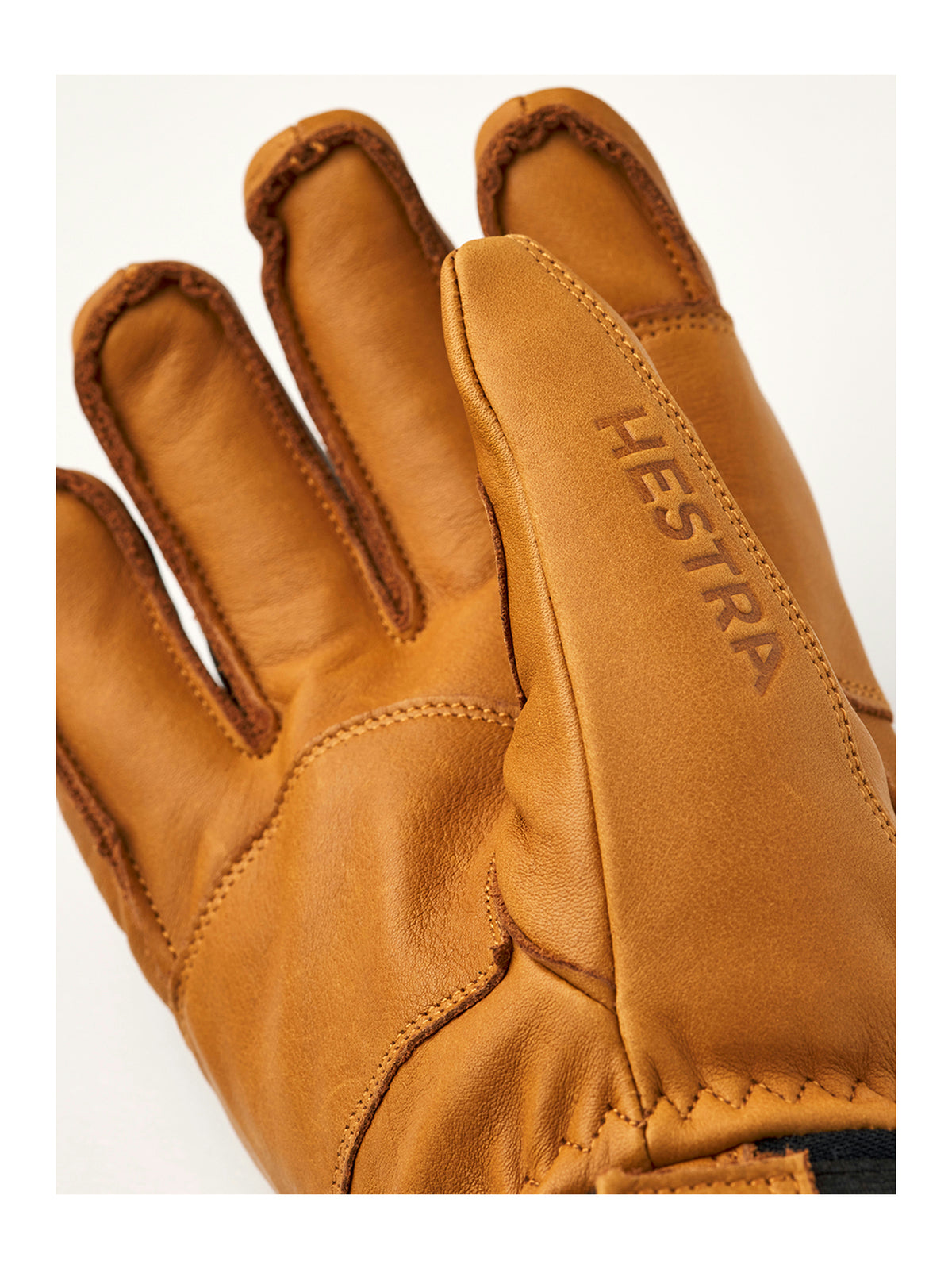 Hestra FALL LINE 5 FINGER Herren-Skihandschuhe - Hestra - MEINFREUDENHAUS