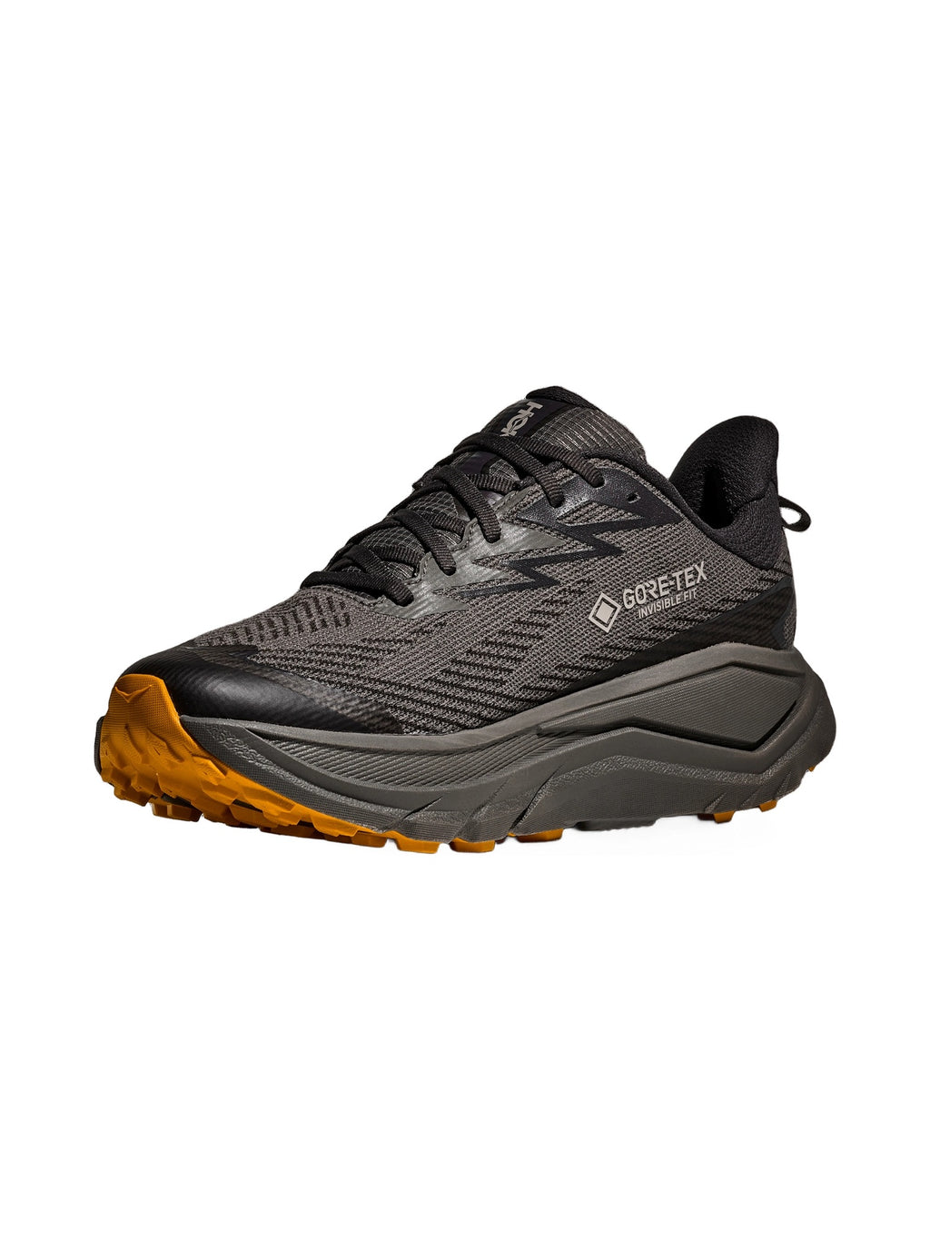 Hoka Challenger 8 GTX Laufschuh Herren schwarz schwarz Bild 4
