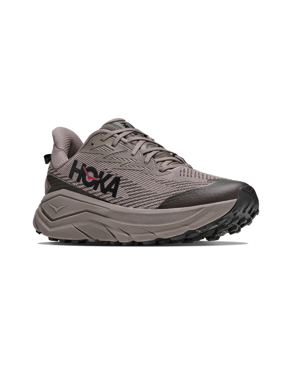 Challenger 8 GTX Trailrunningschuh Herren grau Bild 1