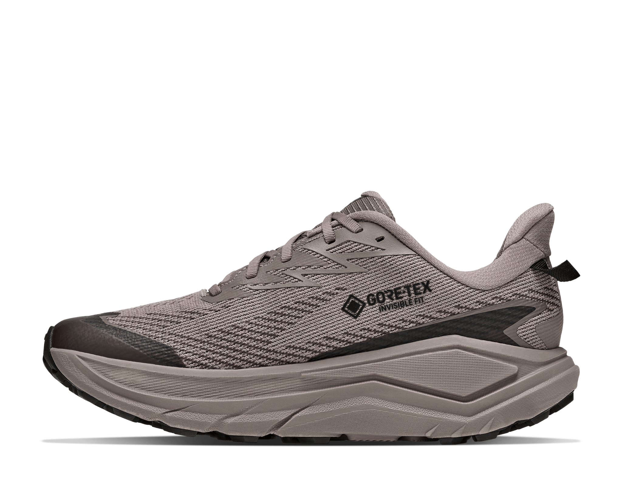 Challenger 8 GTX Trailrunningschuh Herren grau Bild 8