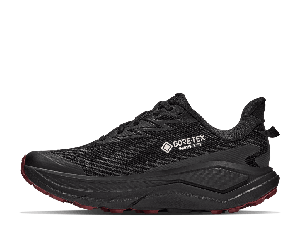 Challenger 8 GTX Trailrunningschuh Damen grau Bild 3