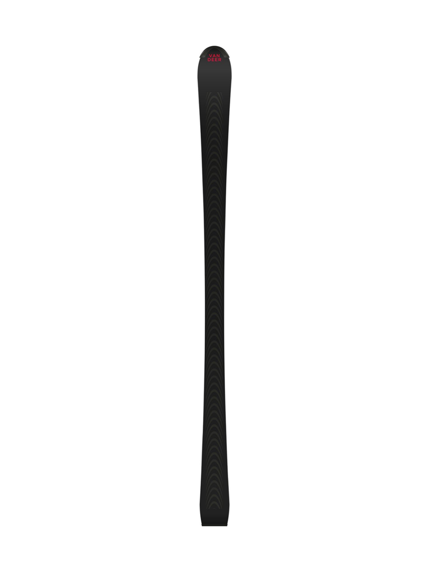 Van Deer - Red Bull Sports Sl World Cup 12.5 Pisten Ski Unisex grau grau Bild 2